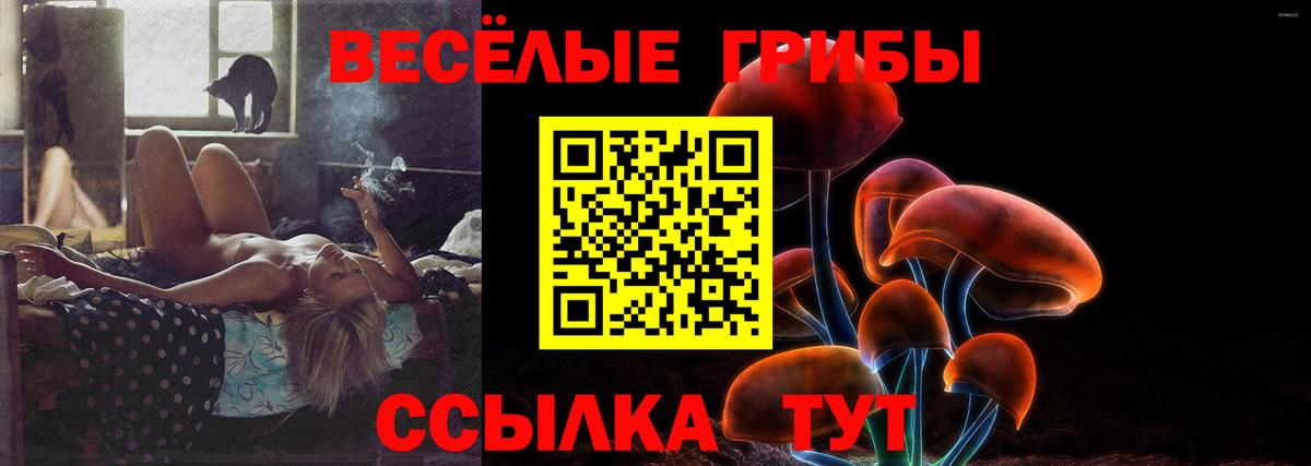 где купить наркоту  Вход с VPN  Одинцово  Псилоцибиновые грибы мицелий 
